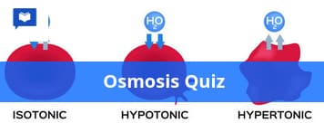 Osmosis quiz