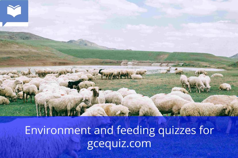 Environment and feeding quiz