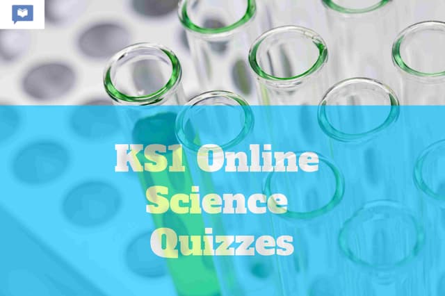 KS1 Science Quizzes
